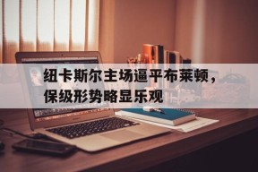 九州娱乐-关于纽卡斯尔主场逼平布莱顿，保级形势略显乐观的信息