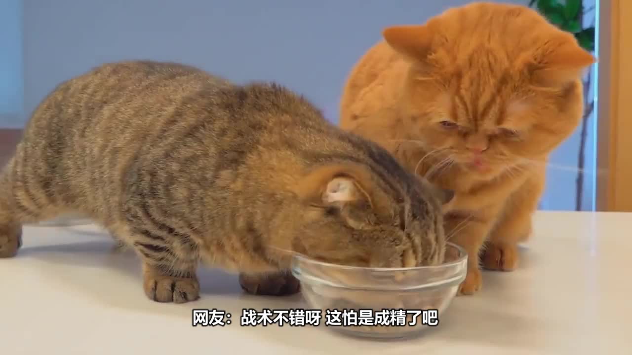 战术调整应手不释小结受益终成精(艾跃进教授经典演讲)